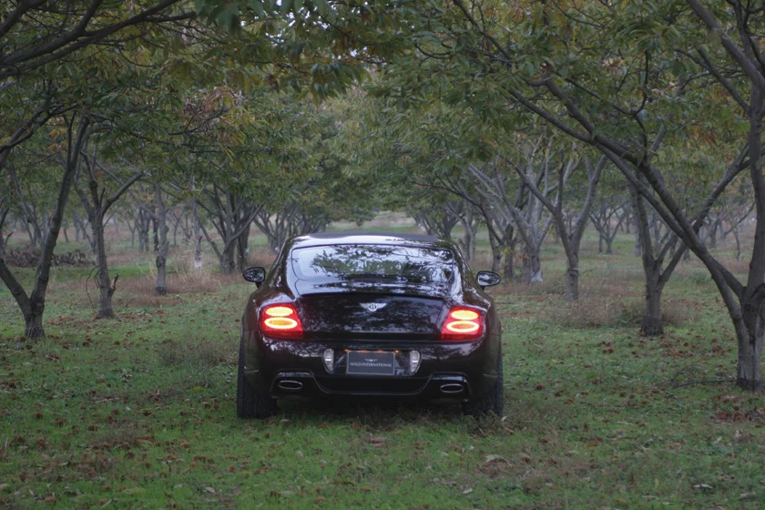 ชุดแต่ง BENTLEY CONTINENTAL GT WALD Japan เอ็กเซ็กคิวทีฟไลน์ ภาพ 19