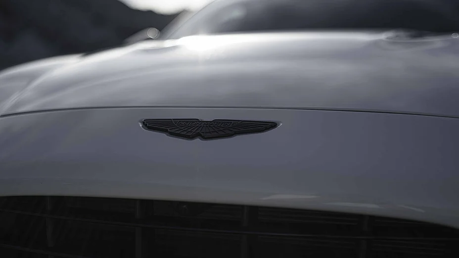 ชุดแต่ง ASTON MARTIN DBX WALD Japan สปอร์ตไลน์ แบล็กไบซัน เอดิชัน ภาพ 11