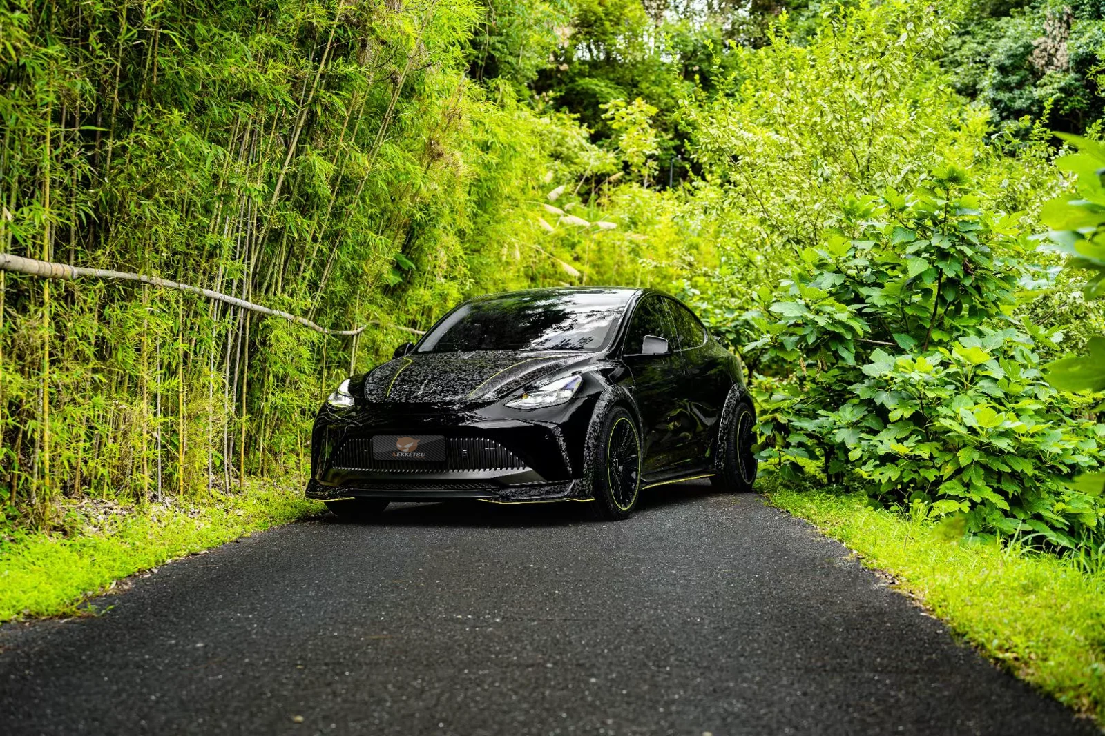 รูปชุดแต่ง ชุดแต่ง Tesla Model y sport v.2 ภาพที่ 12