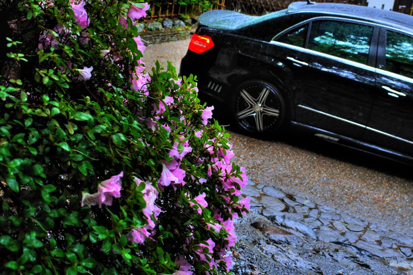 ชุดแต่ง MERCEDES-BENZ E-CLASS WALD Japan สปอร์ตไลน์ แบล็กไบซัน เอดิชัน ภาพ 6