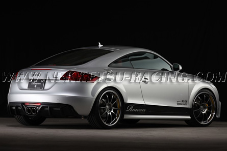 ชุดแต่งรอบคัน AUDI TT Rowen 06-10 (JAPAN) – ภาพที่ 3