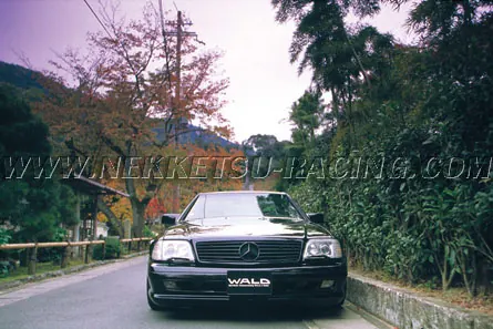 ชุดแต่ง Benz SL-Class W129 WALD ทรง EXECUTIVE LINE – ภาพที่ 2
