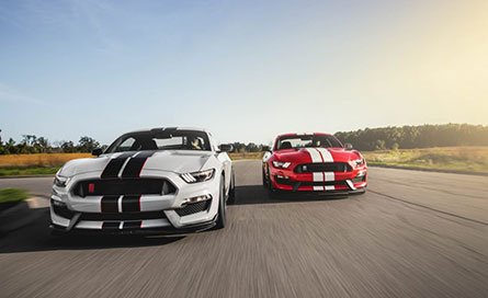 ชุดแต่งรถ Ford Mustang 2016 gt350 – ภาพที่ 4