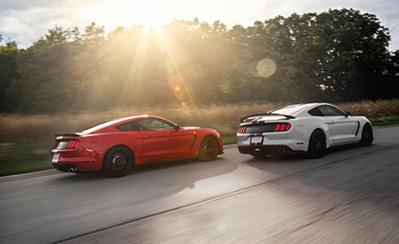 ชุดแต่งรถ Ford Mustang 2016 gt350 – ภาพที่ 6