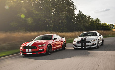 ชุดแต่งรถ Ford Mustang 2016 gt350 – ภาพที่ 5