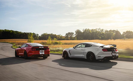 ชุดแต่งรถ Ford Mustang 2016 gt350 – ภาพที่ 7