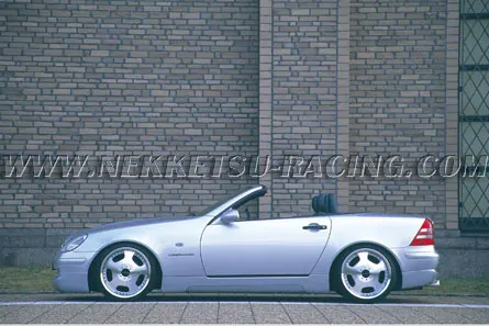 ชุดแต่ง Benz SLK-Class R170 WALD ทรง EXECUTIVE LINE 1999 – ภาพที่ 6